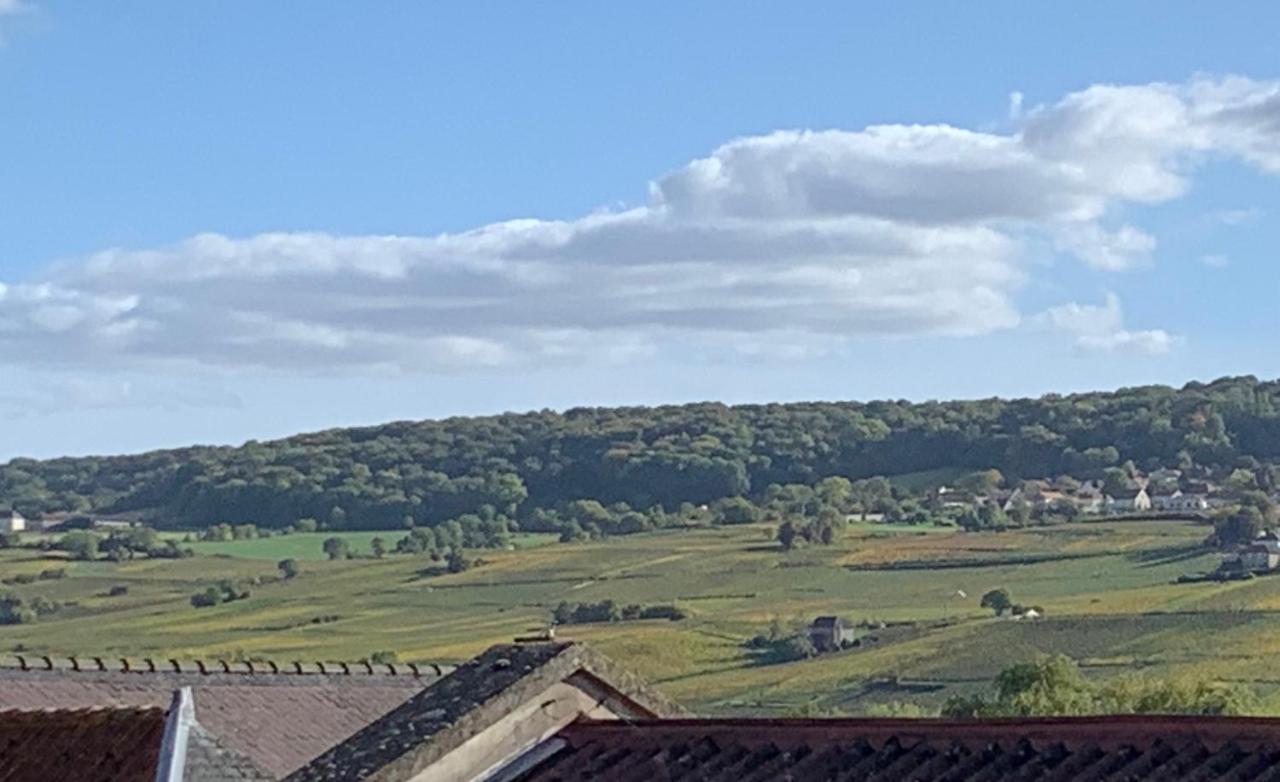 Le Claugi Villa Damery  Eksteriør billede